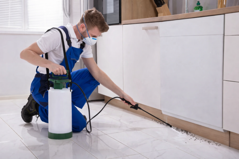 A professional pest technician sprays a kitchen for ants.